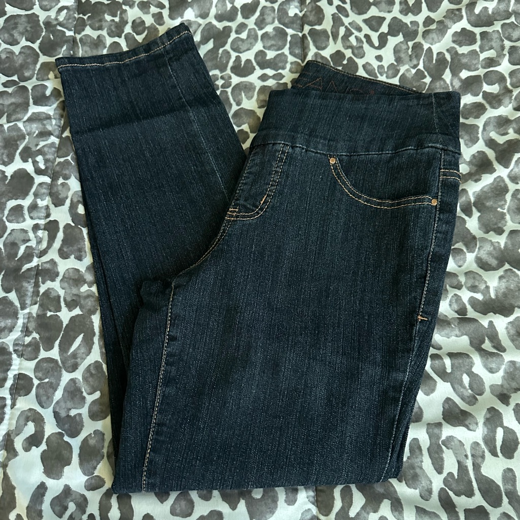 Nwot Jag Jeans Dark Blue Sz 6